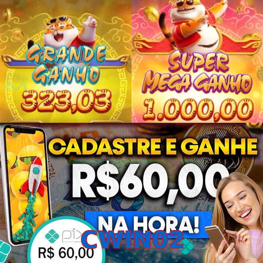 CWIN02