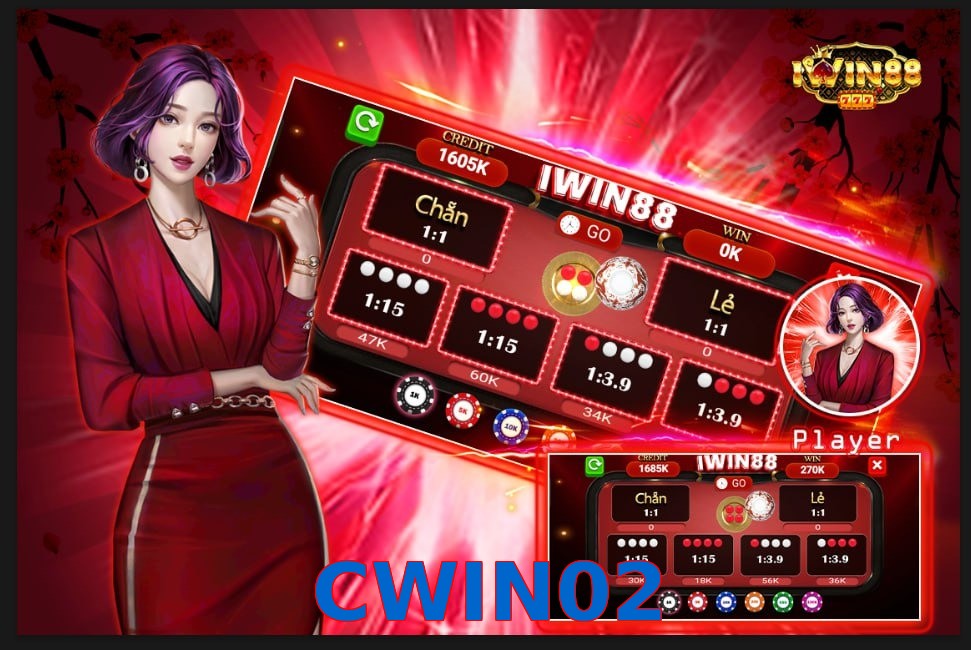 CWIN02