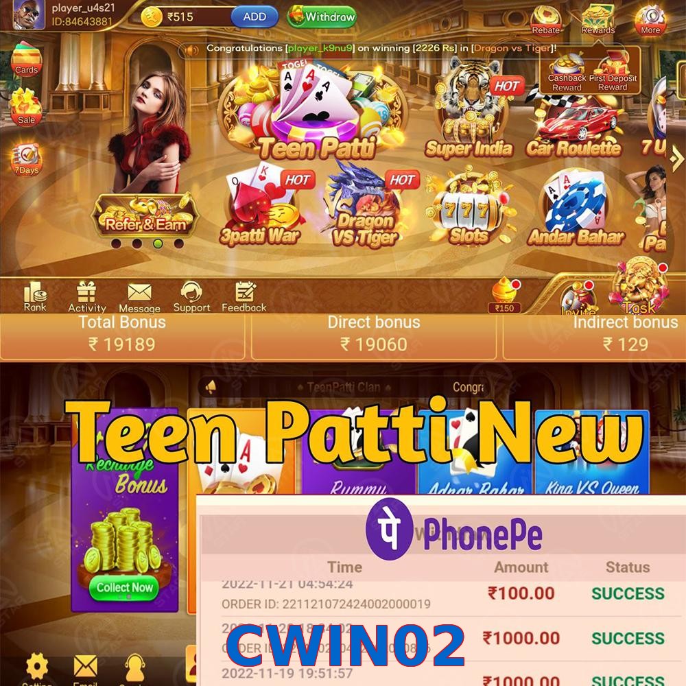 CWIN02